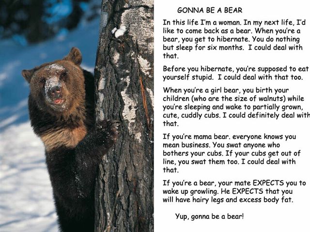 gonna_b_a_bear.jpg