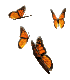 group_butterfly.gif