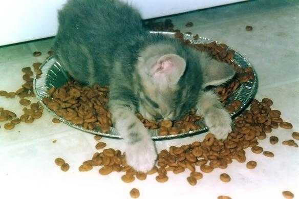 mondaymornings.jpg