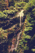 moving_green_waterfall.gif