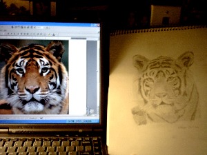 tiger.jpg