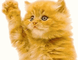 waving_cat.gif