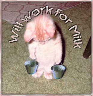 work_milk.jpg
